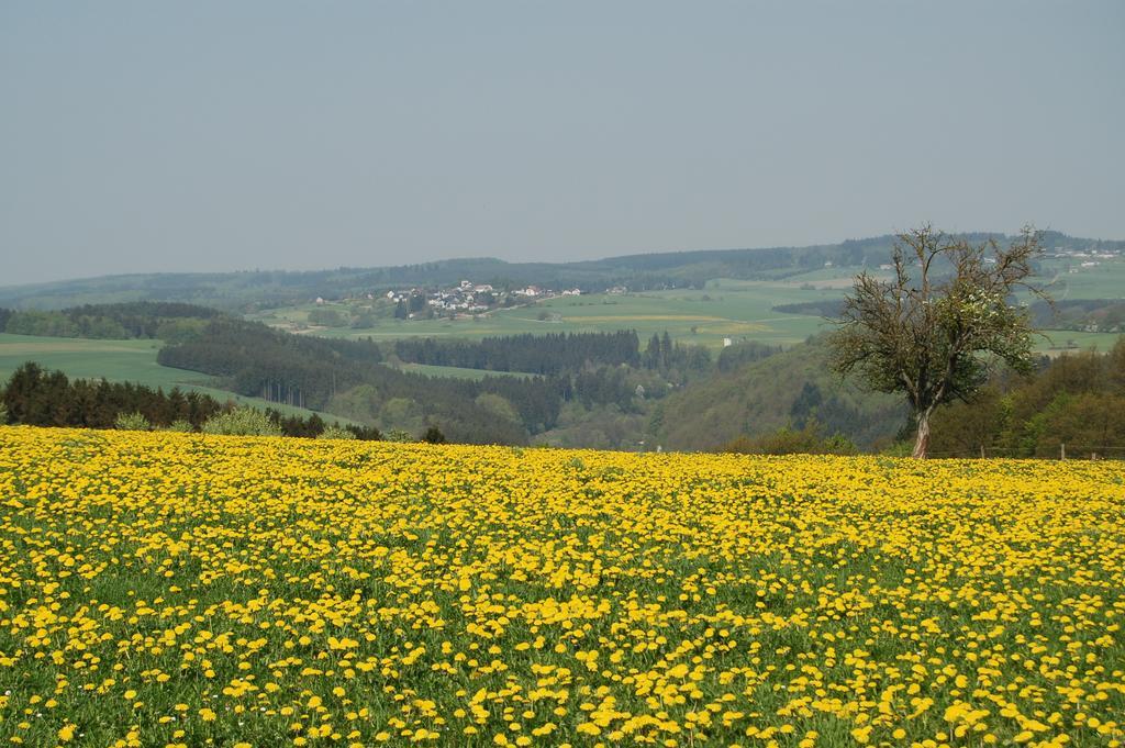 Landgasthaus Pfahl Wershofen Kültér fotó