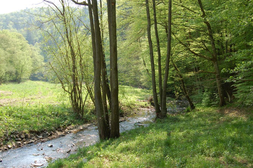 Landgasthaus Pfahl Wershofen Kültér fotó